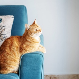 The essence of exceptional living The essence of exceptional living